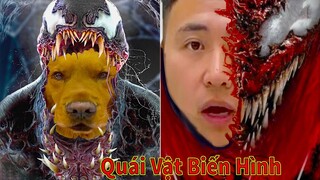 Thú Cưng TV | Đa Đa Thánh Chế #25 | Chó Golden Gâu Đần thông minh vui nhộn | Pets cute smart dog