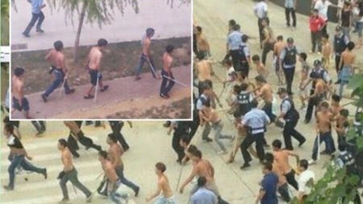 Take life and death in stride—if you’re not satisfied, just fight! Brawl Compilation #2