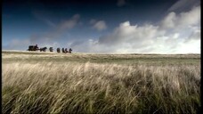 Doctor Who S02E02 Tooth and Claw