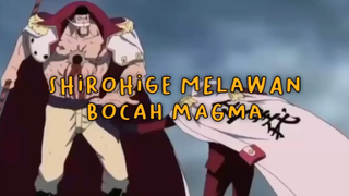 Shirohige Melawan Bocah Magma