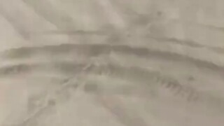 Those guys in the back must have had their fill!