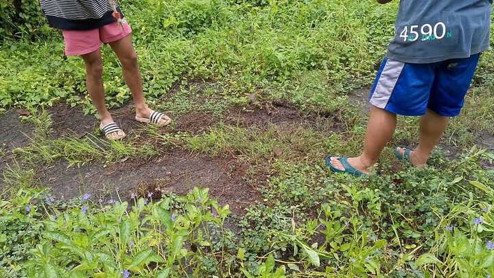 exercise muna tayo sa ating mga manok