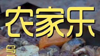 أورومتشي. مطعم ريفي استكشاف الطاهي 11 يوان؟؟