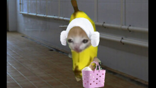 Gejala putus asa setelah liburan