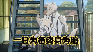 动物狂想曲：雷狗子被哈鲁告白，不想再次被当备胎