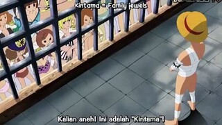 Ketika Luffy lagi pamer kintama pada kru bajak laut kuja🗿