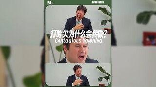 打哈欠为什么会传染⁉️