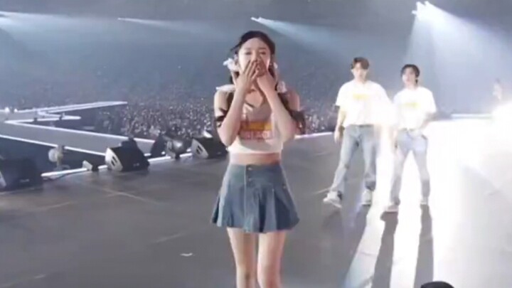 是谁的恋爱脑又长出来啦! 宁宁的飞吻、猫猫盯人要 陷入恋爱啦～