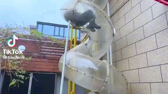 Wow underground😱😱