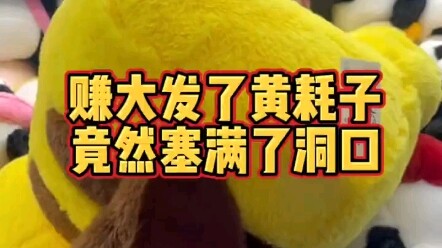 Ya ampun!! Aku sampai terkejut setengah mati, si tikus kuning besar, cepat serahkan dirimu!