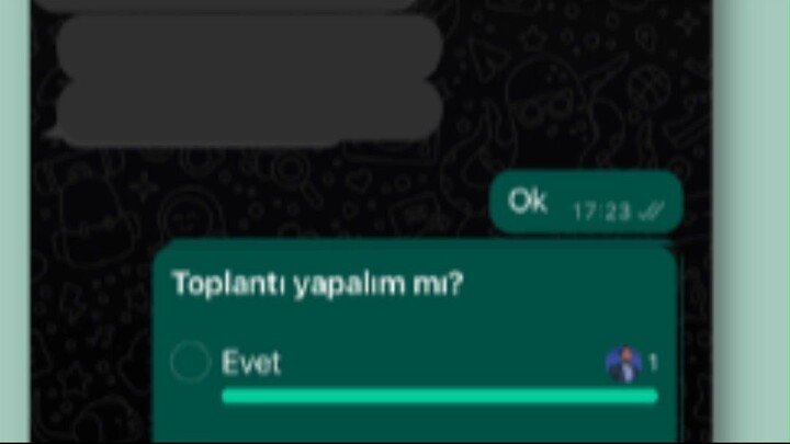 WhatsApp Grupta Anket Nasıl Yapılır?