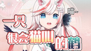 物种突变！给我变！