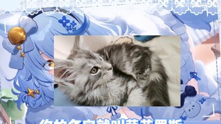 [Elsa] Licking feet by cats! Which Elsa potato chip was reincarnated successfully?