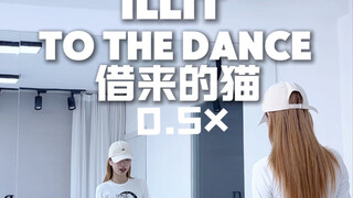 ILLIT 新歌〔借来的猫〕0.5+0.8倍速，慢速镜面分解来喽（细节以0.8倍速为主哦）
