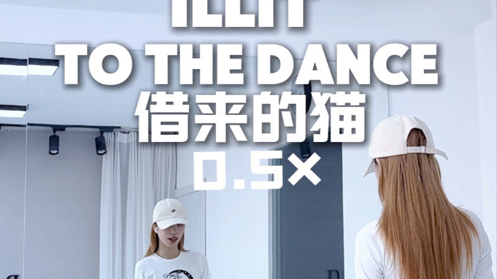 ILLIT 新歌〔借来的猫〕0.5+0.8倍速，慢速镜面分解来喽（细节以0.8倍速为主哦）