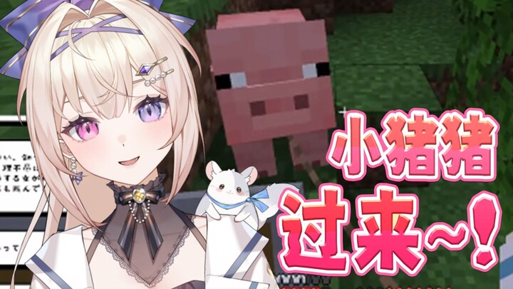 日本话痨天使的目标是？🐖养猪大户！