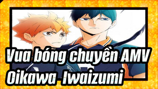 [Vua bóng chuyền!! MMD] Iwaizumi's LUVORATORRRRRY! / Oikawa & Iwaizumi