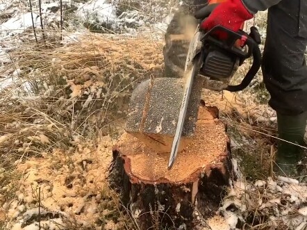 Bangku Penebang Kayu