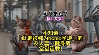 【Clip nóng】Tưởng gặp kẻ theo dõi trong phòng gym... (Phần bạn bè) | Meme mèo