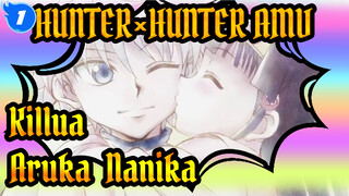 [HUNTER×HUNTER AMV] (Fluff) Killua, Aruka & Nanika_1