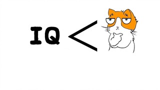 [B Cat Diary] Never buy cats from street vendors, you might end up buying Sparta Hakimi