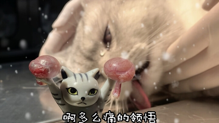 再见了我的“宝贝”，流下了绝望的眼泪！