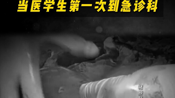 ความรู้เล็กๆ เกี่ยวกับร่างกายมนุษย์ทุกวัน