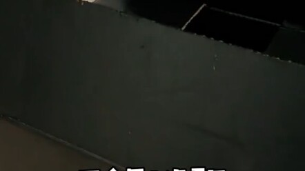 Tantangan kucing hitam paling pandai bersembunyi di seluruh internet