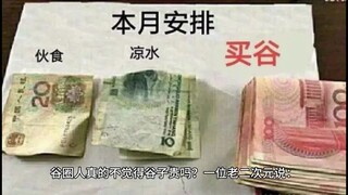 谷圈人真的不觉得谷子贵吗？