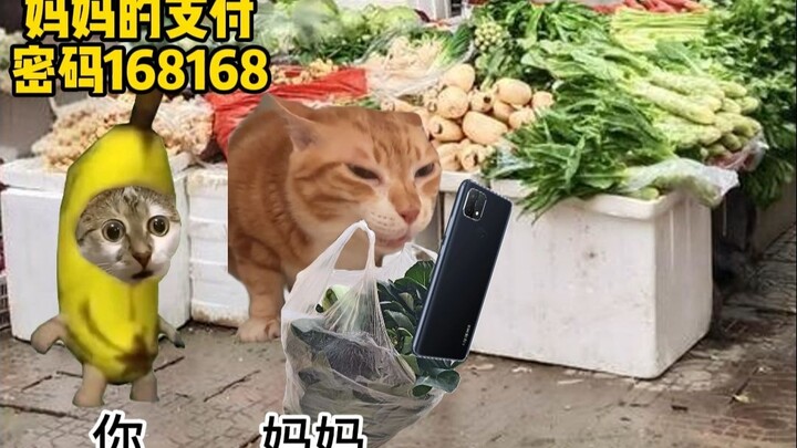 عندما كنت صغيرًا وحفظت كلمة مرور الدفع الخاصة بوالديك