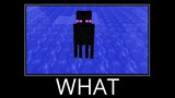 WAIT WHAT (Minecraft) #5