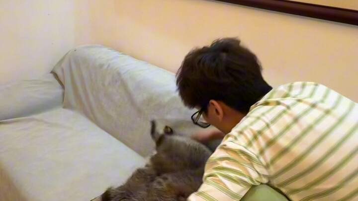 #Raccoon #WeightLoss Raccoon Weight Loss