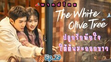 Episode 29