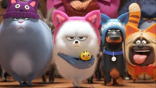 Đẳng Cấp Thú Cưng 2 (The Secret Life of Pets 2 2019)