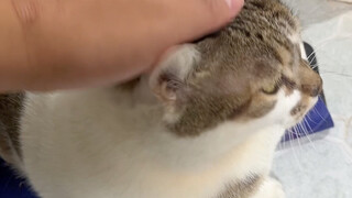 I was wondering why the sound of the coal briquettes changed.