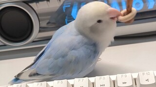 理解货币概念后，孩子已经完全掉钱眼里了🥹