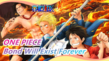 [ONE PIECE] ASL Three Brothers! The Brotherhood, Bond Will Exist Forever! !