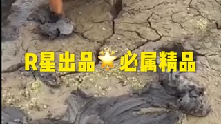 R星出品必属精品地球母亲