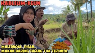 Ngakak ada Ua SULE.. Makan Nikmat Di Sawah, Kikil Serundeng, Perkedel Ayam, Hidup di Desa