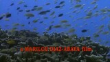 Muro - Ami | pinoy classic movie