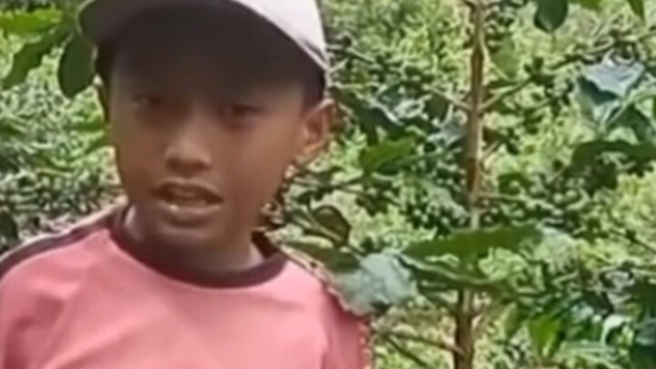 bocil montap
