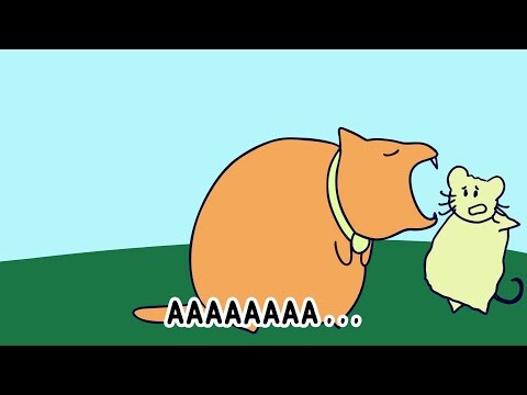 MANGSA - Amir Moci Eps. 105