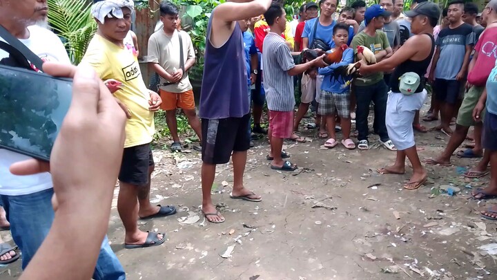 Dihado 3k vs 5k Malaki kalaban sakto katawan Malas ngalang naputol Ung Tari sakanila supalpal saGrey