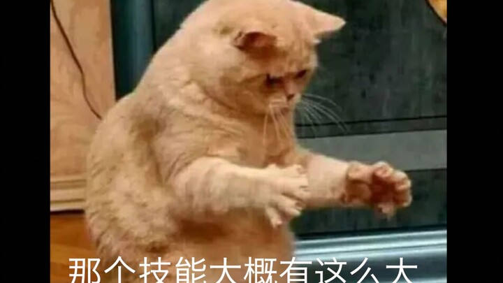 Apa yang dipikirkan gadis-gadis saat bermain hutan?