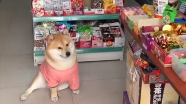 ทุกวันขโมยขนมหนึ่งห่อ