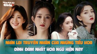 Nhìn lại truyền nhân của những tiểu hoa đình đám nhất Hoa ngữ hiện nay