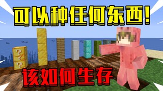 当在我的世界里可以种植任何东西！种出钻石块，该怎么生存！