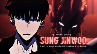 Sung Jinwoo vs Igris [amv] Solo Leveling