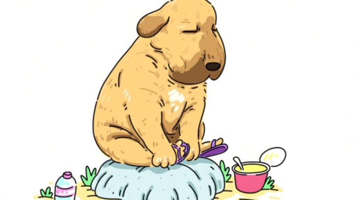 Con chó ơi, em sắp tan vỡ rồi, thật sự chẳng ai chọn em sao?!