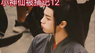 【剧版忘羡ABO】【全员宠羡】小神仙被捕记12